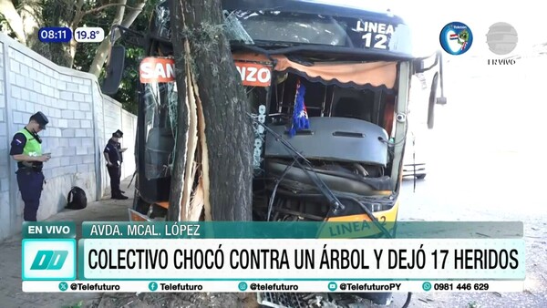 Colectivo de la Línea 12 chocó contra un árbol y varios pasajeros resultaron heridos