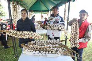 Ministerio de Agricultura intensifica apoyo técnico a productores de ajo de todo el país