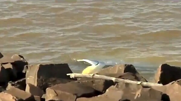 Hombre sobrevive tras caer con su vehículo al río Paraná en Encarnación