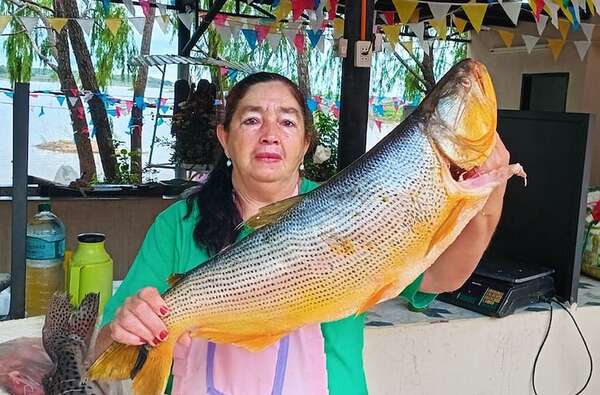 Veda pesquera: ¿hasta cuándo se puede comercializar? - Nacionales - ABC Color