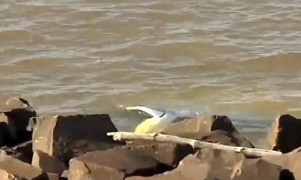 Conductor pierde el control de su camioneta y termina en aguas del río Paraná en Encarnación – Prensa 5