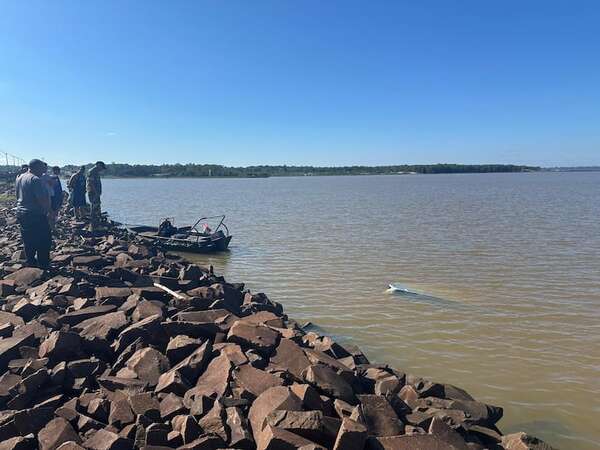 Vehículo cayó al arroyo Quiteria tras despistar de la ruta PY01 en San Juan del Paraná - Policiales - ABC Color