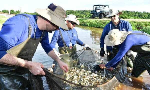 Instan a respetar la veda pesquera y proteger la diversidad en los ríos