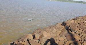 La Nación / “Salí nadando”: conductor cayó con su auto al río Paraná, pero logró salvarse