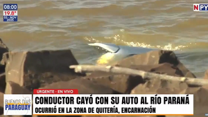 Conductor se salvó milagrosamente tras caer con su automóvil al río Paraná