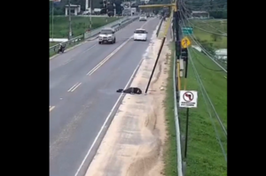 Trabajador cayó desde una escalera mientras realizaba tareas de instalación eléctrica