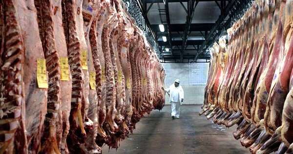 Cotización internacional de carne suma 27 % más en ingresos
