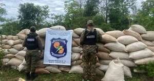 La Nación / Antinarcóticos de la Policía evita venta de 3 toneladas de marihuana al mercado brasileño