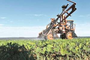 APS reporta que la siembra de soja está prácticamente concluida - ABC Rural - ABC Color