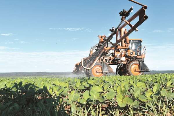 APS reporta que la siembra de soja está prácticamente concluida - ABC Rural - ABC Color