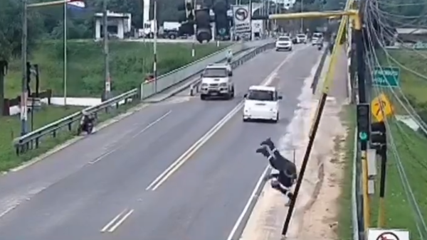 Video: Hombre queda en grave estado tras caer de una columna en Pilar