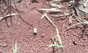 Desconocido dispara contra una vivienda e hiere en ambas piernas a una adolescente - Noticiero Paraguay