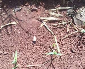 Desconocido dispara contra una vivienda e hiere en ambas piernas a una adolescente - Policiales - ABC Color