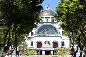 Inician jornadas de vacunación antirrábica en Caacupé rumbo a la festividad de la Virgen