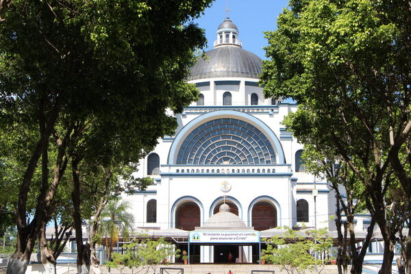 Inician jornadas de vacunación antirrábica en Caacupé rumbo a la festividad de la Virgen