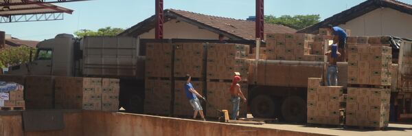 BM: El empleo es el motor pendiente del desarrollo en LATAM