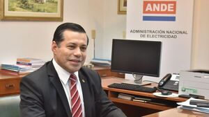 Insisten en la venta de energía al Brasil