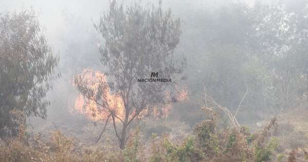 Diario HOY | Impulsan campaña para evitar incendios forestales en la bahía de Asunción