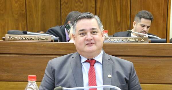 La Nación / ANR defiende elecciones transparentes en CDE ante agravios prietistas, señala diputado