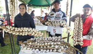 Fiesta del Ajo, con promesas de más inversión y nuevos mercados para productores - Nacionales - ABC Color
