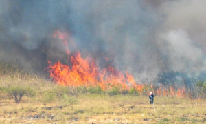 Asunción activa brigadas vecinales para frenar incendios en la Bahía - OviedoPress