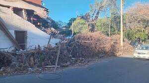 Ramas secas ponen en riesgo a transeúntes y reflejan la desidia municipal en pleno centro - Nacionales - ABC Color