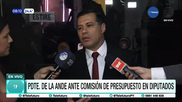 ANDE no implementará aumento o ajuste de tarifa este año