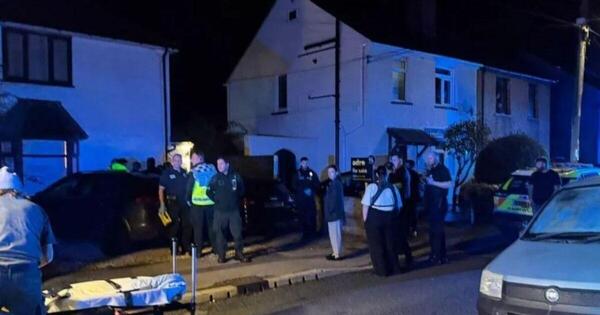 Un perro alterado por fuegos artificiales ataca y mata a un bebé