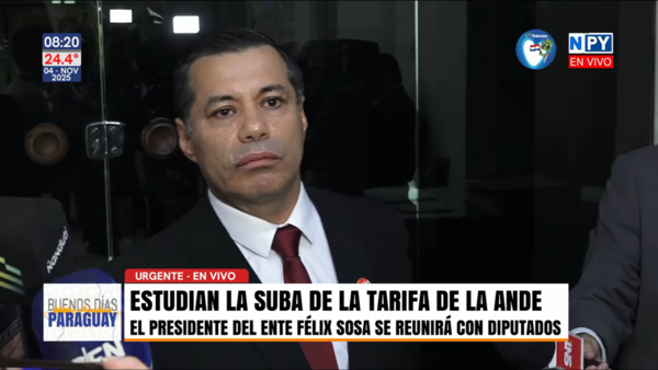 ANDE confirma estudio técnico para un posible ajuste tarifario