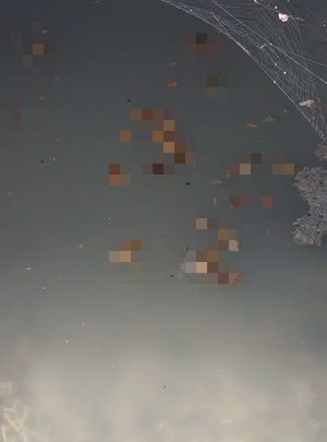 Material fecal arrojada por la cárcel de Emboscada discurre nauseabunda hasta el río Piribebuy, evidencia intendente – La Mira Digital