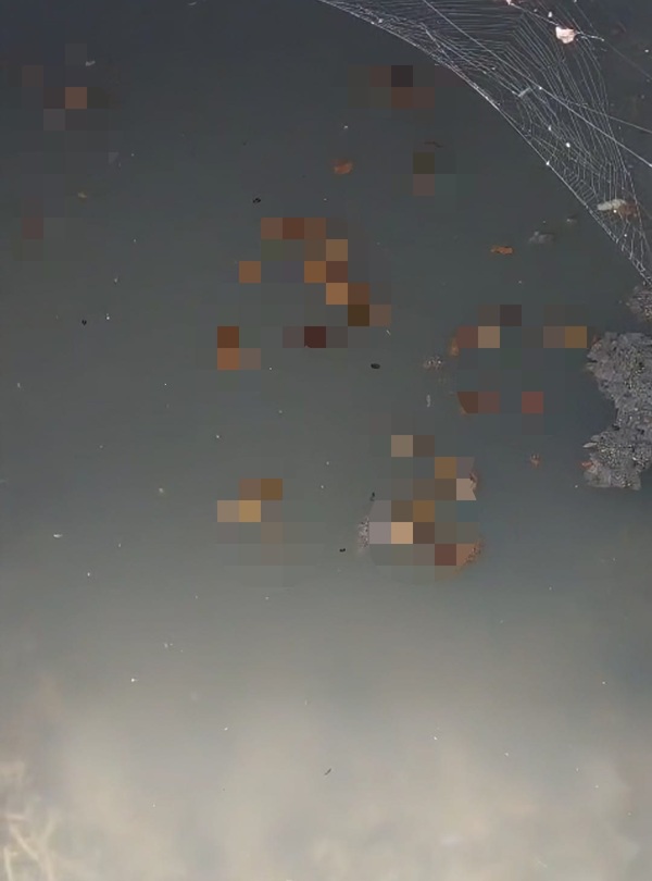 Material fecal arrojada por la cárcel de Emboscada discurre nauseabunda hasta el río Piribebuy, evidencia intendente – La Mira Digital