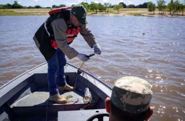 Veda pesquera: Mades retira 2.000 metros de espineles en Pilar  - Nacionales - ABC Color