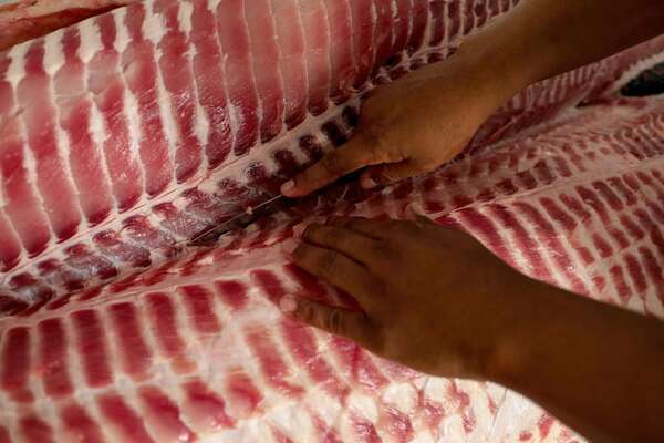 Saulo Jennings, el chef amazónico que se negó a cocinar vegano para evento del príncipe Guillermo - Gastronomía - ABC Color