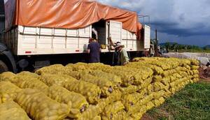 Asisten en la comercialización a productores de Paraguarí con logística y asesoramiento técnico