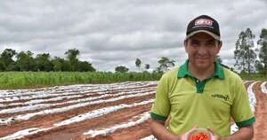 La Nación / Ají paraguayo sobresale entre productos norteamericanos