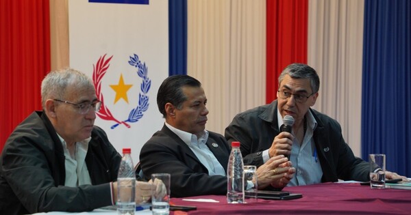 En medio de una posible crisis energética, Sosa aclara que la tarifa de la ANDE no aumentará hasta 2026