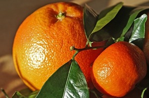 Importadores de naranja acusan a empresa proveedora de monopolizar el mercado