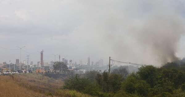 La Nación / Prevención de incendios en reservas ecológicas en Asunción abarcará 601 hectáreas