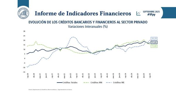 Los créditos en guaraníes crecieron 15,8% y 20,29% en dólares