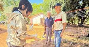 La Nación / Villeta: procesan por maltrato animal a vecino que mató al perrito “Ministro”