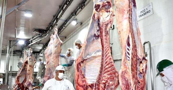 La Nación / Menor faena de octubre se debió a picos previos de meses anteriores, afirman