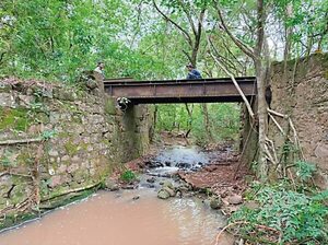 Vías del tren se transforman en red de ecoturismo sostenible