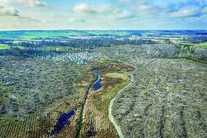 El origen de la vida no fue por azar, sino triunfo de la información