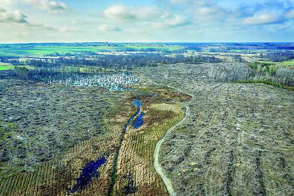 El origen de la vida no fue por azar, sino triunfo de la información