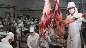 Fuerte brecha entre precios externos e internos de carne