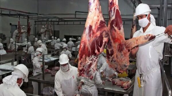 Fuerte brecha entre precios externos e internos de carne