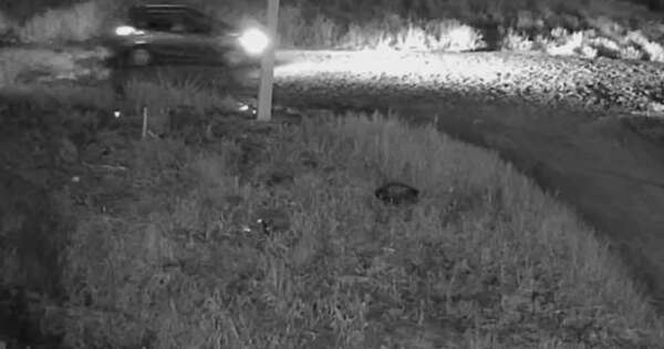 Diario HOY | Dos muertos tras asalto en CDE: hallaron máquinas de criptomonedas