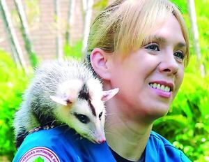 Mykurê en la ciudad: La Dra. Zarigüeya y la ética de la convivencia