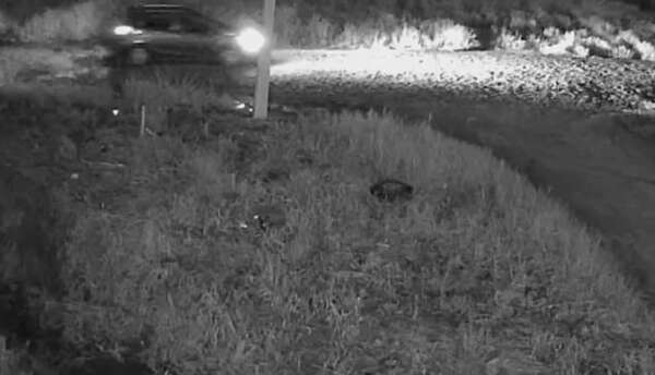 Dos muertos tras asalto en CDE: hallaron máquinas de criptomonedas