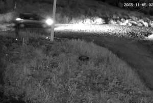 Violento intento de robo a máquinas de criptominería deja dos muertos y un herido en Ciudad del Este - ABC en el Este - ABC Color